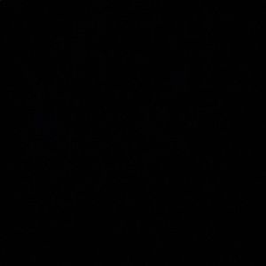 Meet your Posher, Lilly